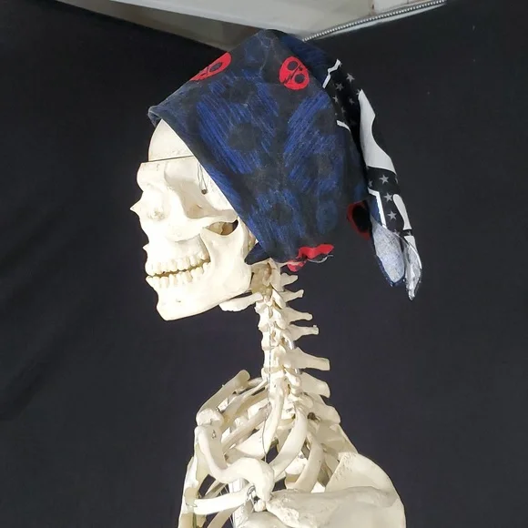 VTG Hot Topic Skelanimals Kit The Cat Square Bandana Scarf Accessory Sz 20"x 20" - Picture 12 of 16